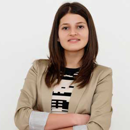 网站攻击软件工具